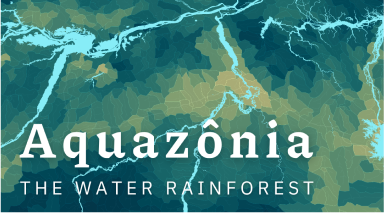 Índice de Impacto nas Águas da Amazônia (IIAA) - Aquazônia